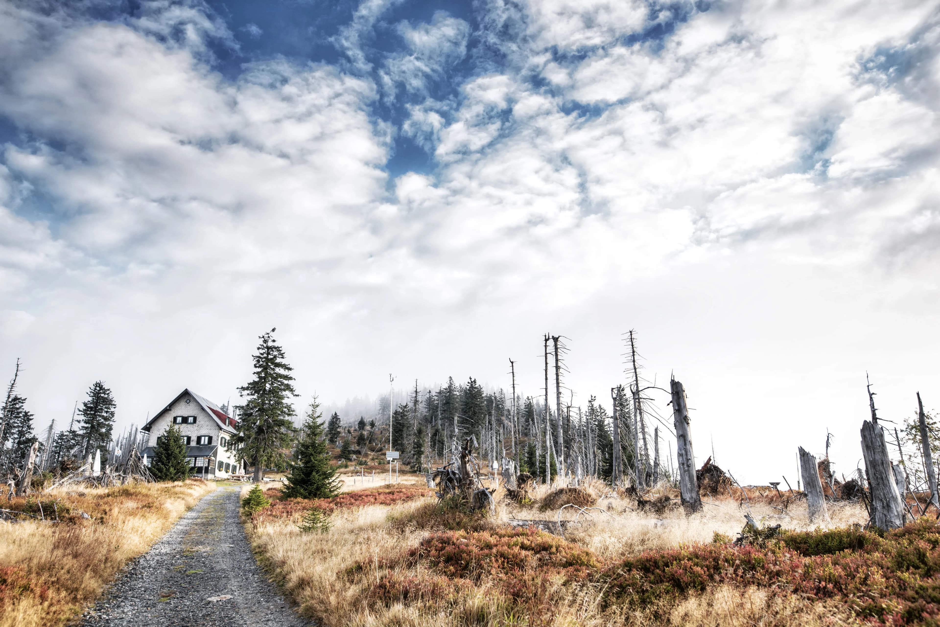Einblick in den Bayerischen Wald 