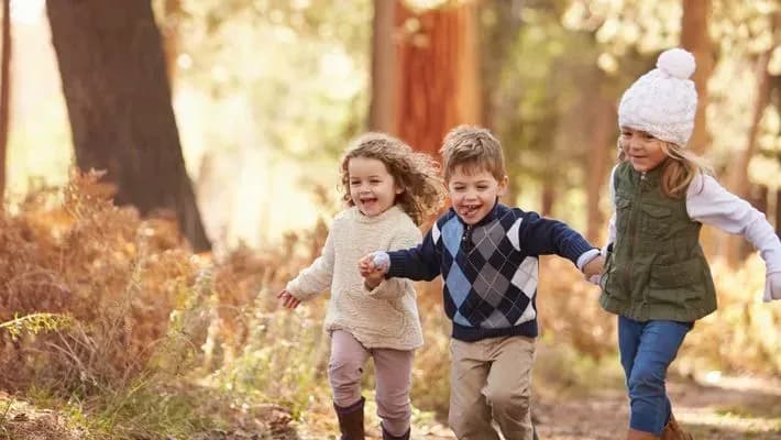 Bayerischer Wald Familienhotel mit Zugang zum Baumwipfelpfad entdecken
