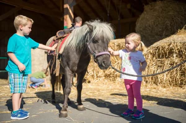 Abenteuer Ponyhof – das perfekte Kinderhotel in Süddeutschland