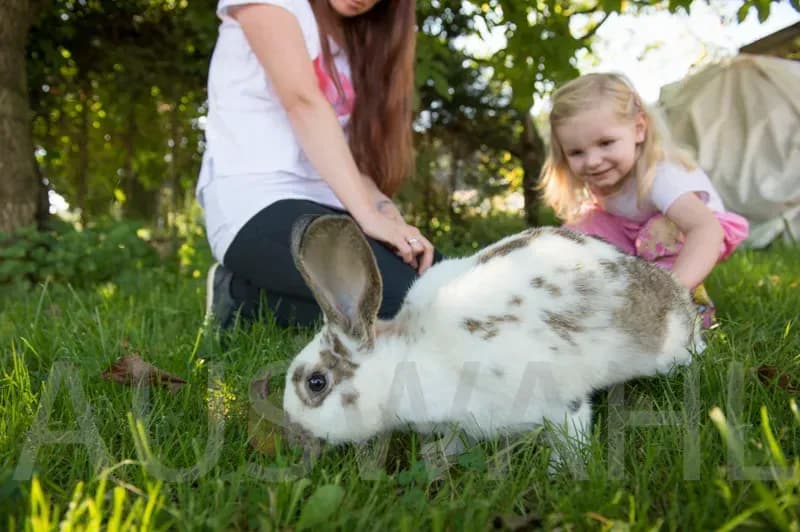 Bauernhofurlaub deluxe – familienfreundliches Reithotel mit Erlebnisbauernhof