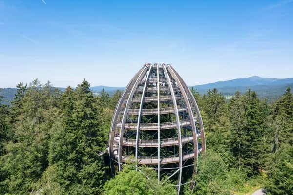 Familienurlaub direkt am Nationalpark – Natur, Tiere & Abenteuer erleben