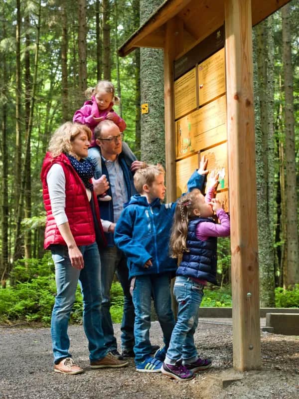 Familienurlaub in Schönberg – Erholung trifft Abenteuer im Bayerischen Wald