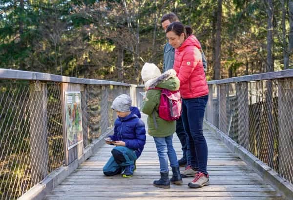 Familie im bei einer Wanderung im Baumwipfelpfad Bayerischer Wald