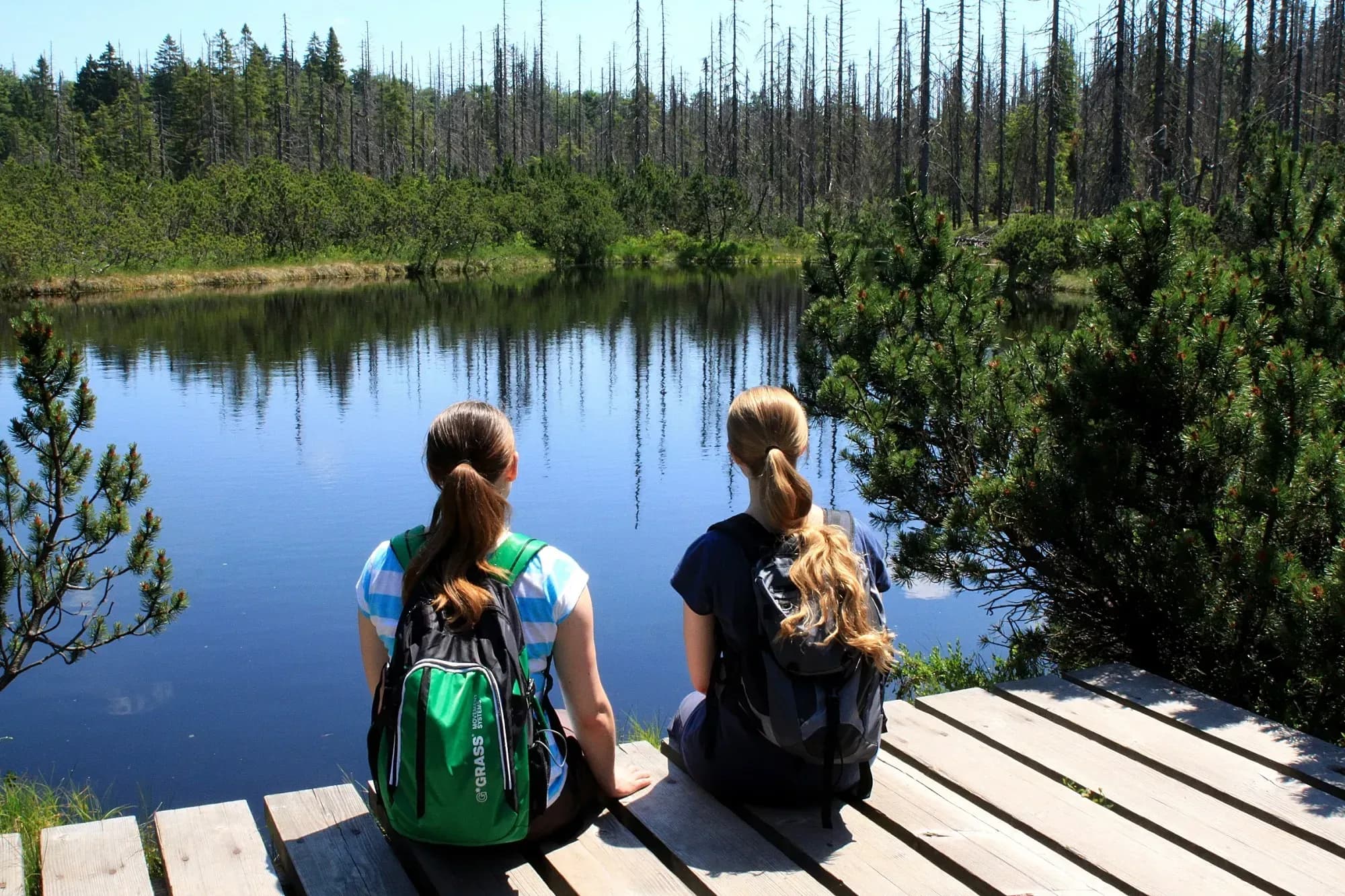 Erlebnisurlaub für Kinder – Sommer, Rodeln & Abenteuerpfade im Bayerischen Wald
