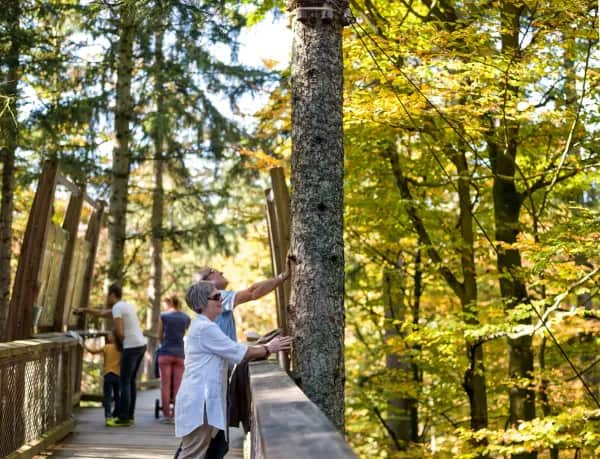 Zwischen Wäldern & Wiesen – Kinderhotel im grünen Herzen Süddeutschlands