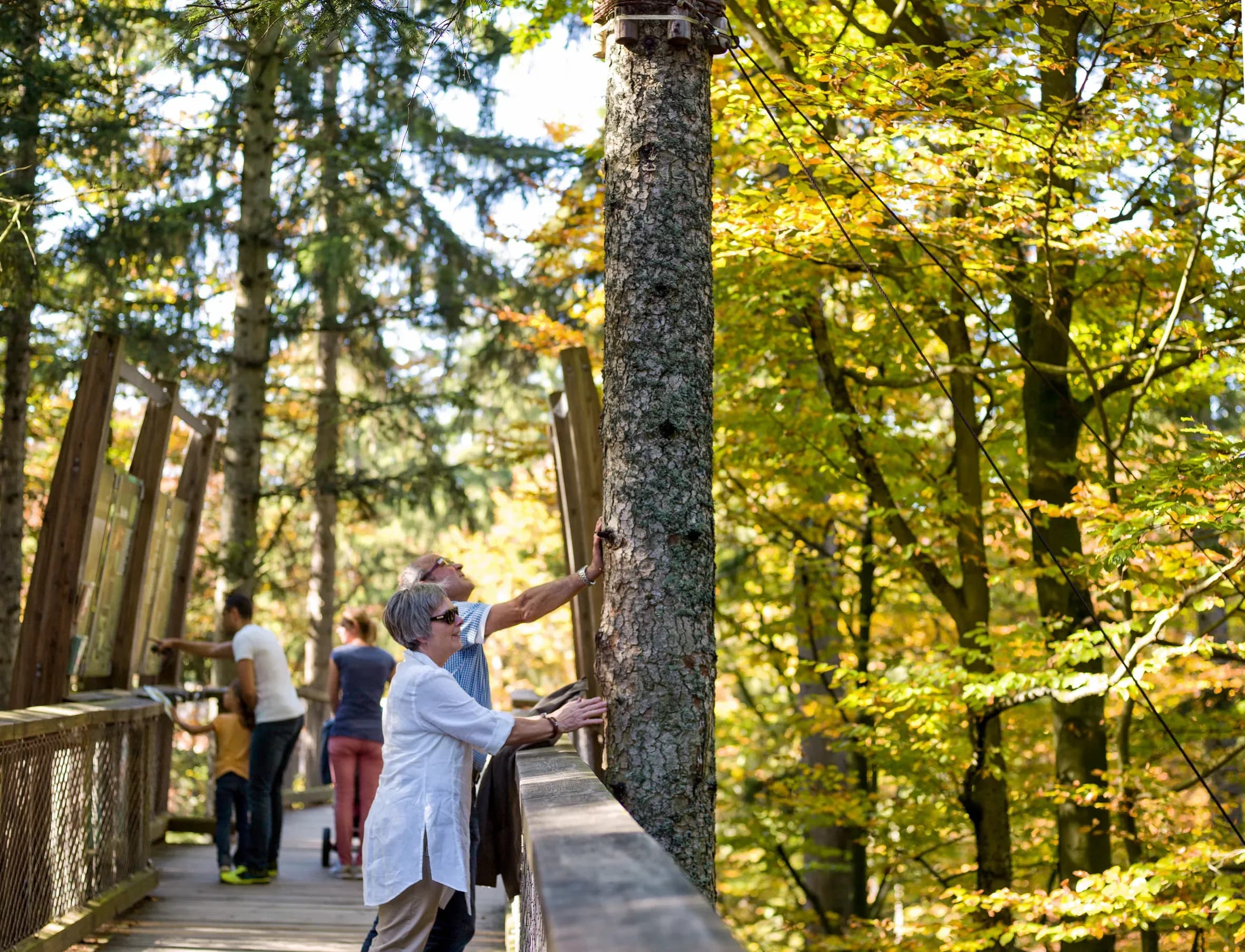 Bayerischer Wald nahe Schönberg