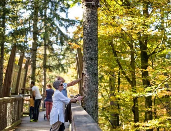Bayerischer Wald nahe Schönberg