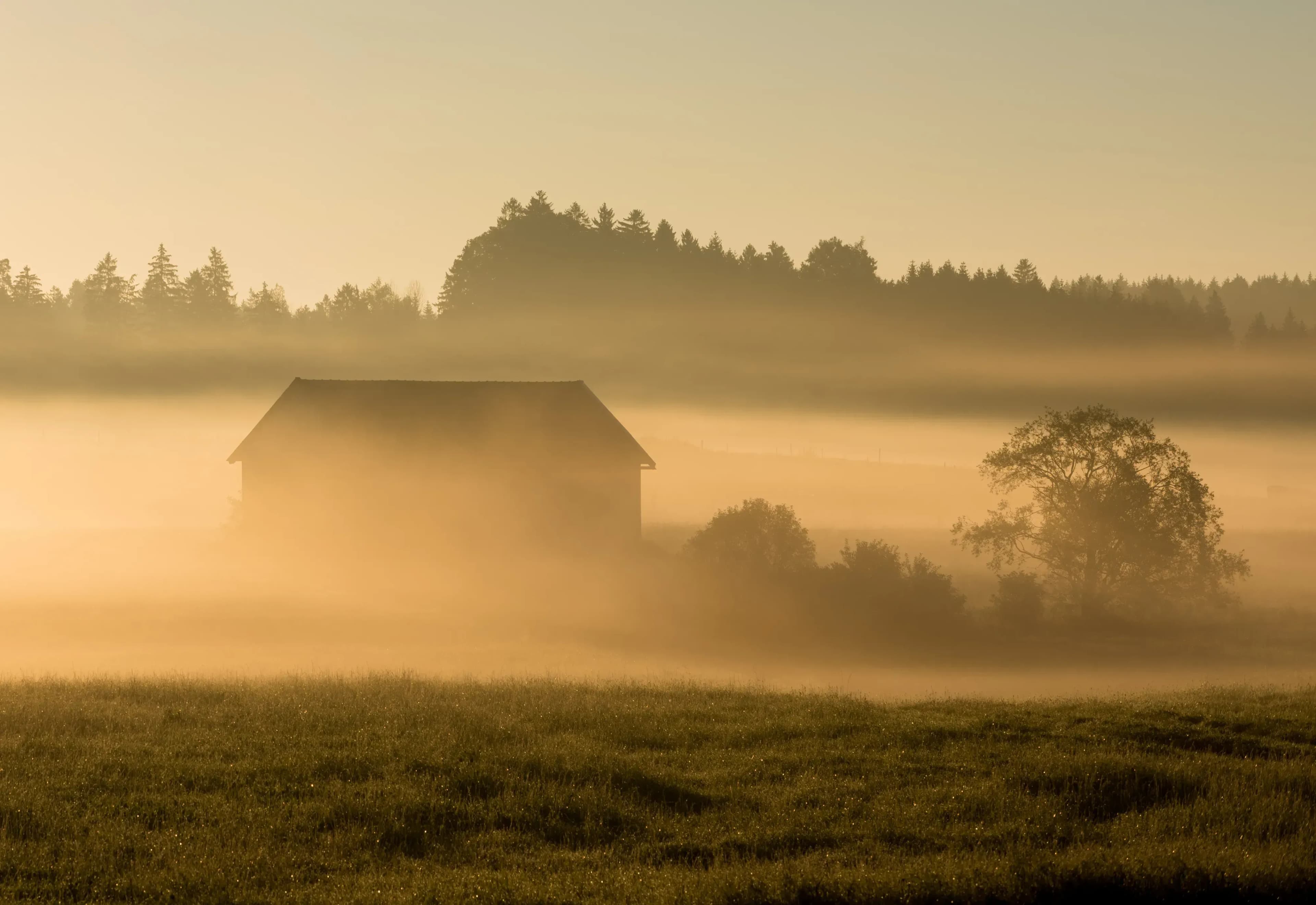 Zwischen Wäldern & Wiesen – Kinderhotel im grünen Herzen Süddeutschlands