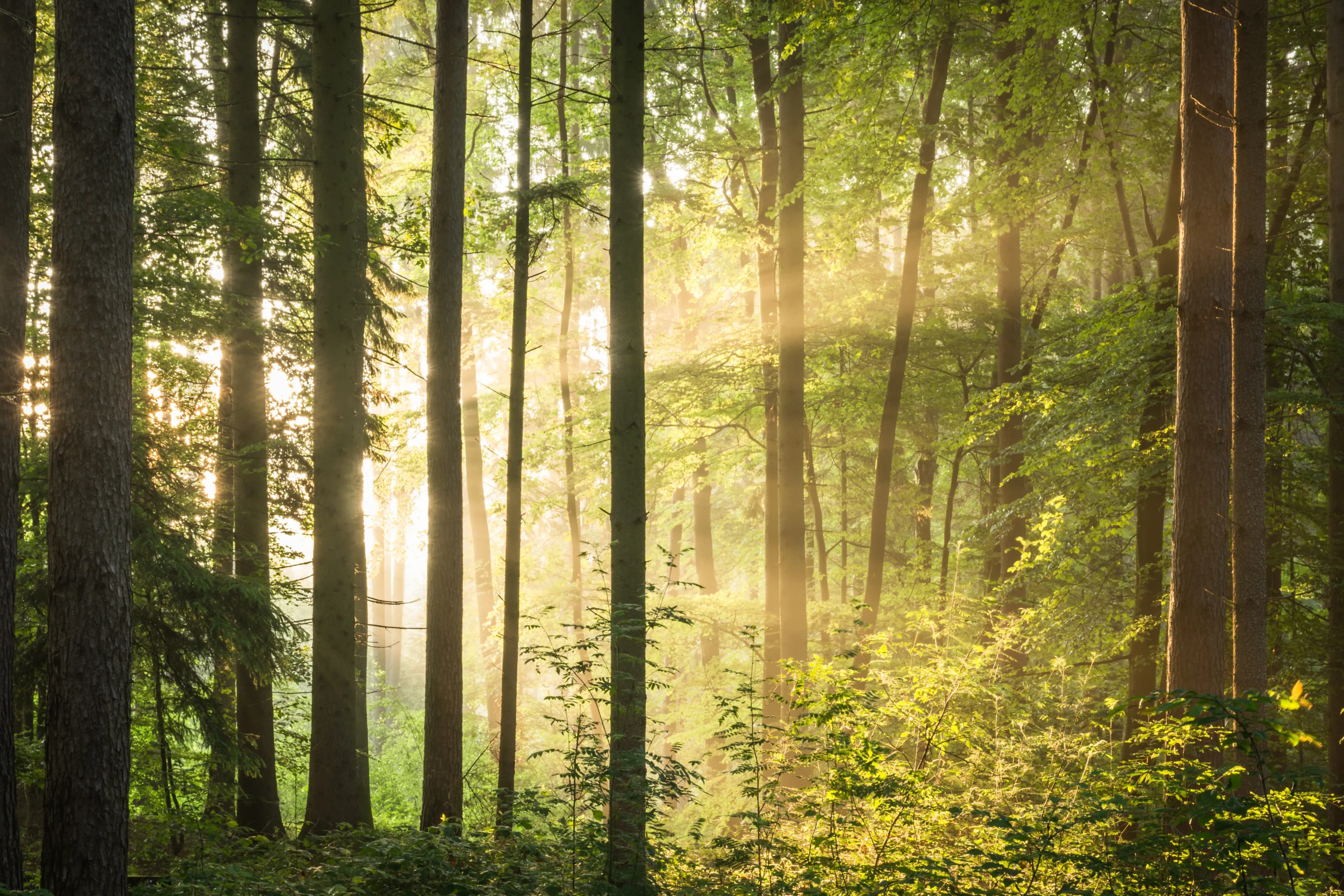 Natu rund um den Schreinerhof