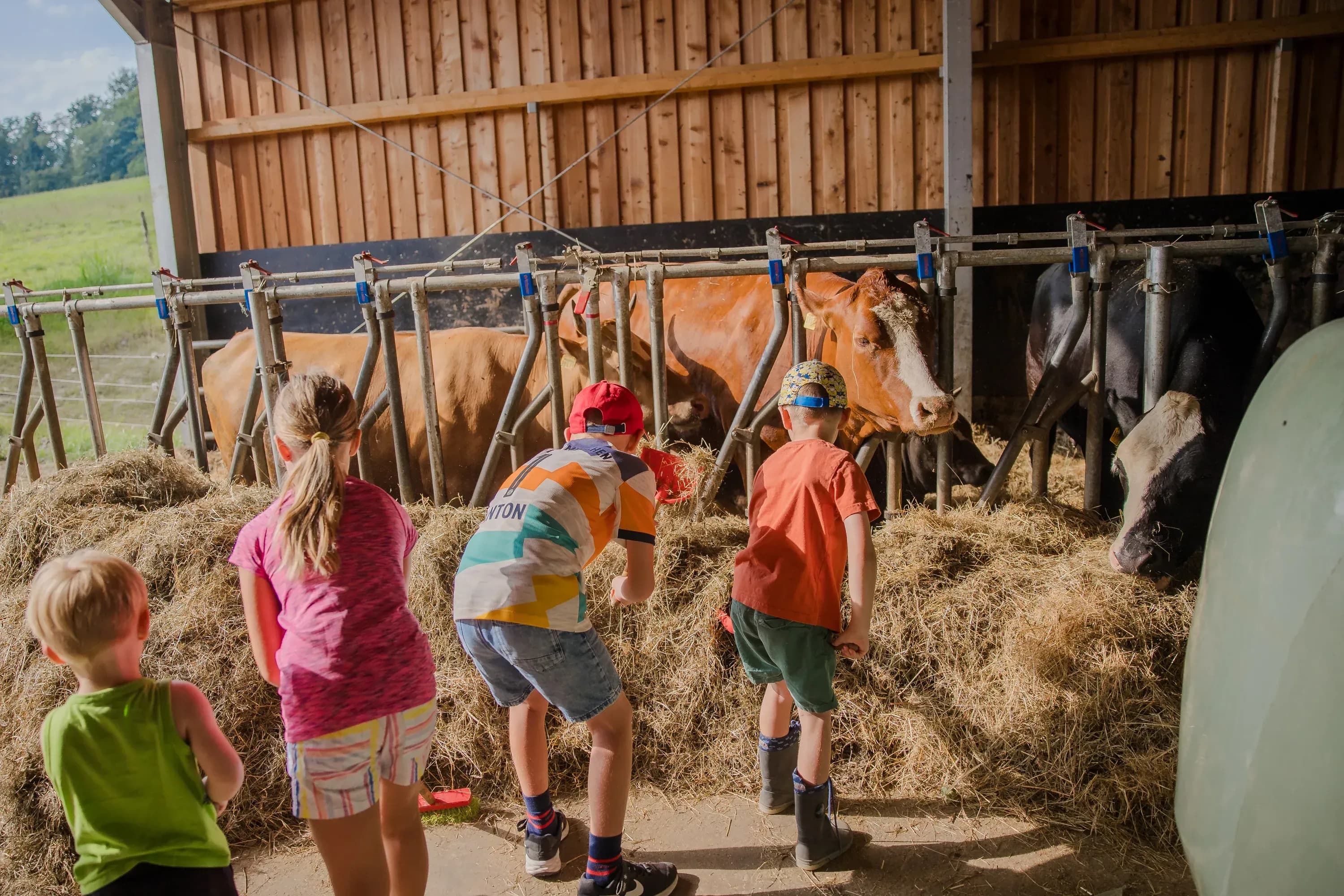 Kinder bei der Stallarbeit im Familienhotel Schreinerhof im Bayerischen Wald