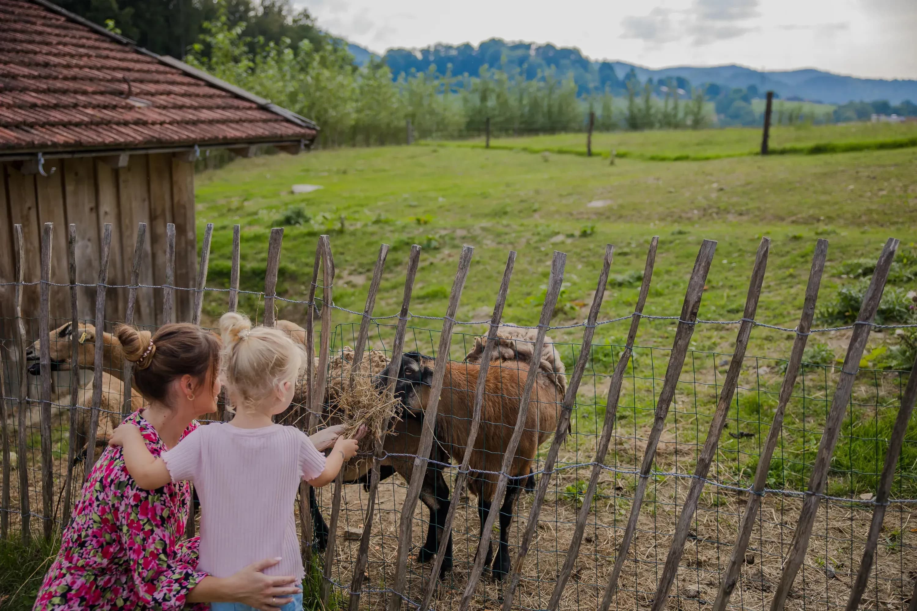 Kinder füttern Tiere und erleben Abenteuer auf dem Bauernhof des Familienhotels Schreinerhof im Bayerischen Wald.