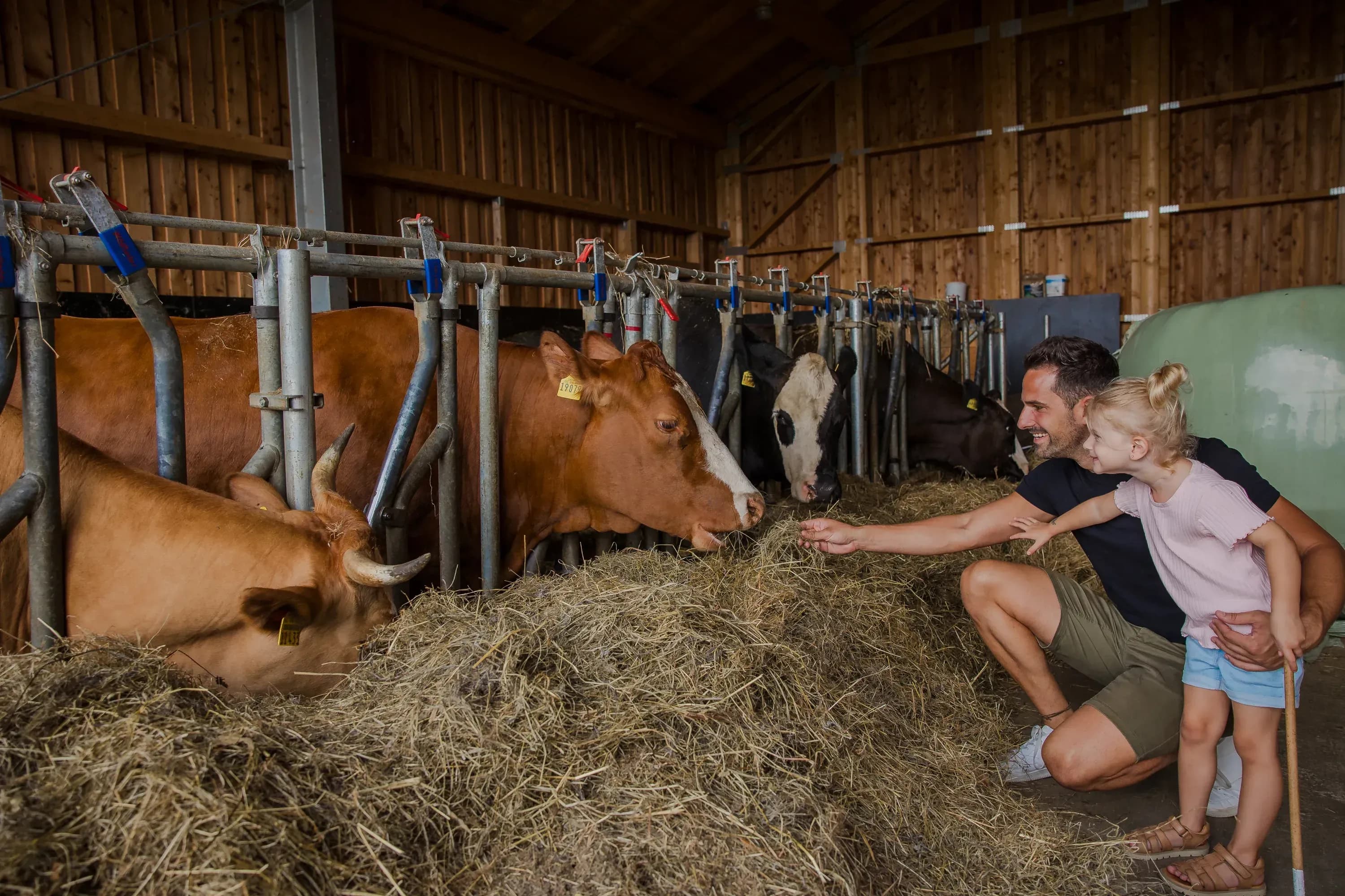 Kinder füttern Tiere und erleben Abenteuer auf dem Bauernhof des Familienhotels Schreinerhof im Bayerischen Wald.