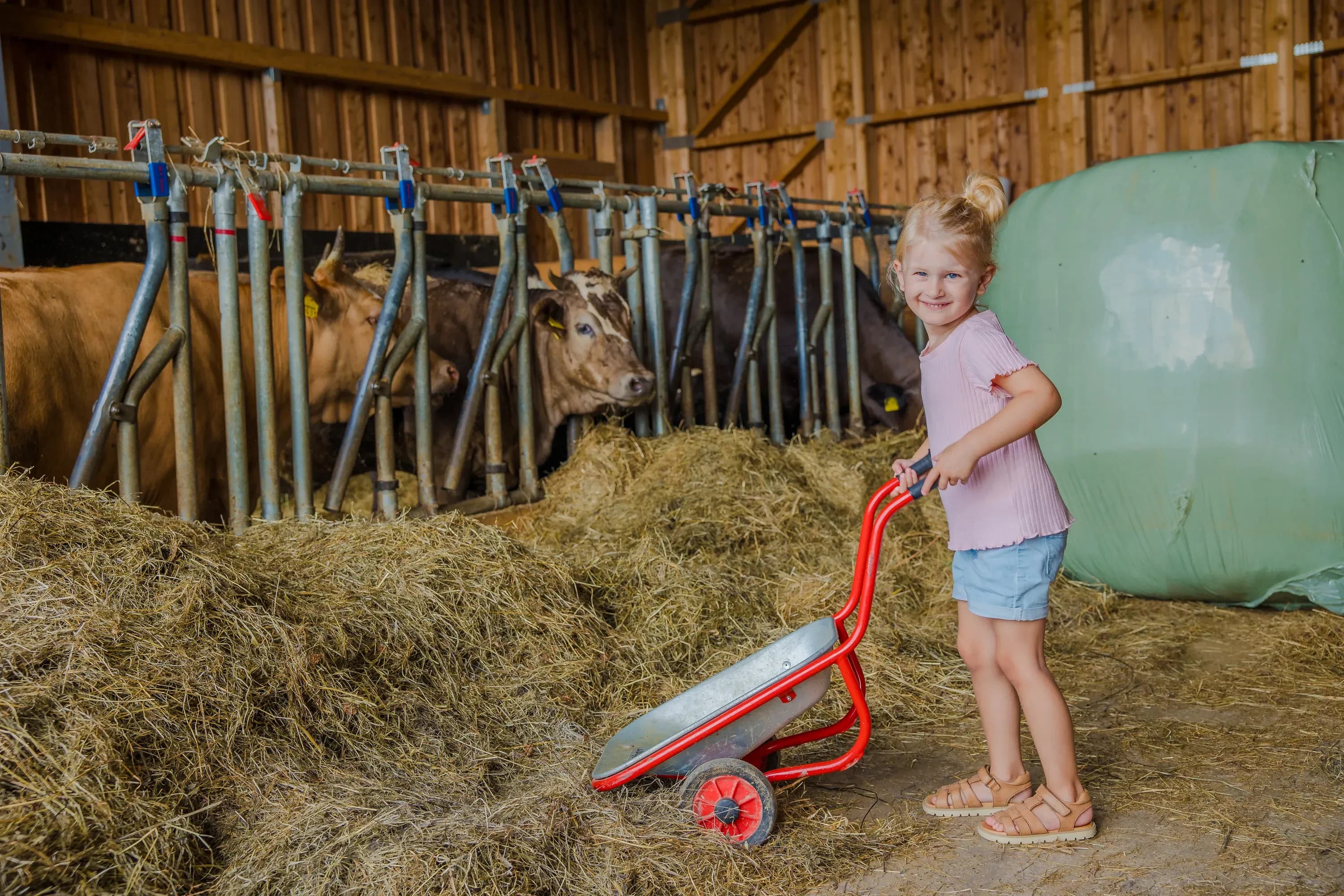 Kind hilft bei der morgendlichen Stallarbeit im Familienhotel Schreinerhof