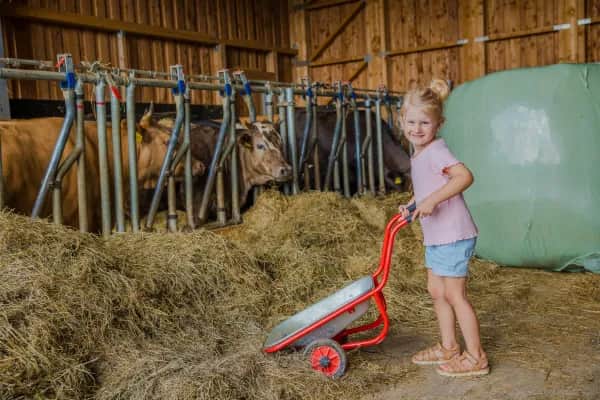 Kind hilft bei der morgendlichen Stallarbeit im Familienhotel Schreinerhof