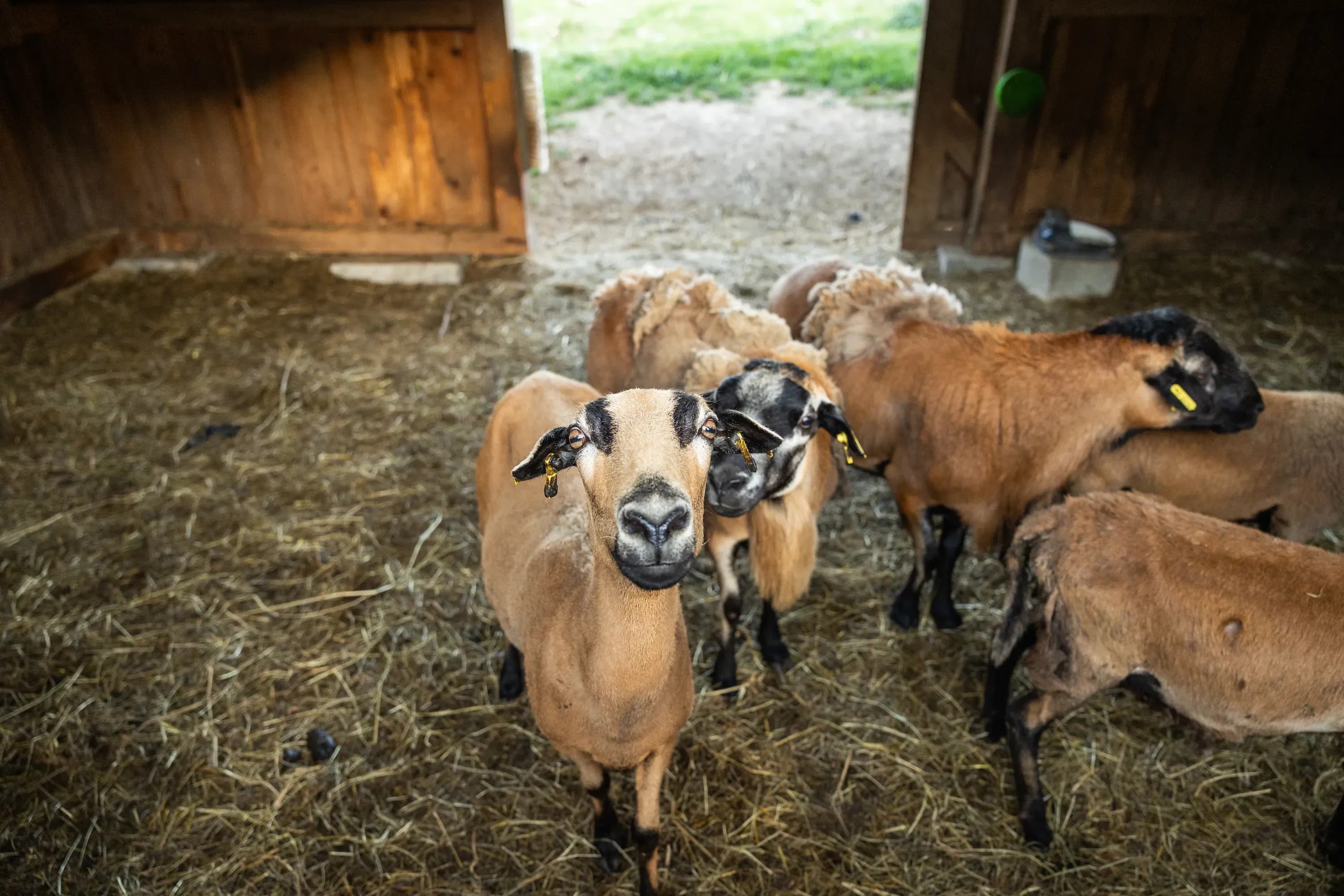 Familie bei herbstlichem Spaziergang nahe Familienhotel im Bayerischen Wald